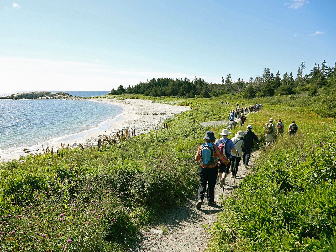 Many hikers walking in a line atop a rocky path; in the distance, a beach