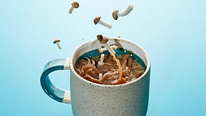 Mushrooms dropping into a mug of water against a blue background