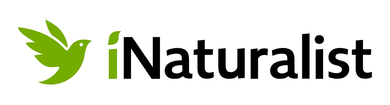 The logo of iNaturalist, its name with an illustrated bird at the left side