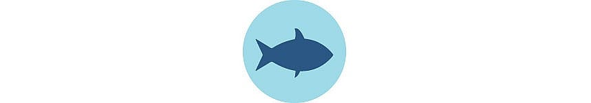 A blue silhouette of a fish illustration in a blue circle
