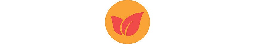 An illustration of an orange leaf in an orange circle