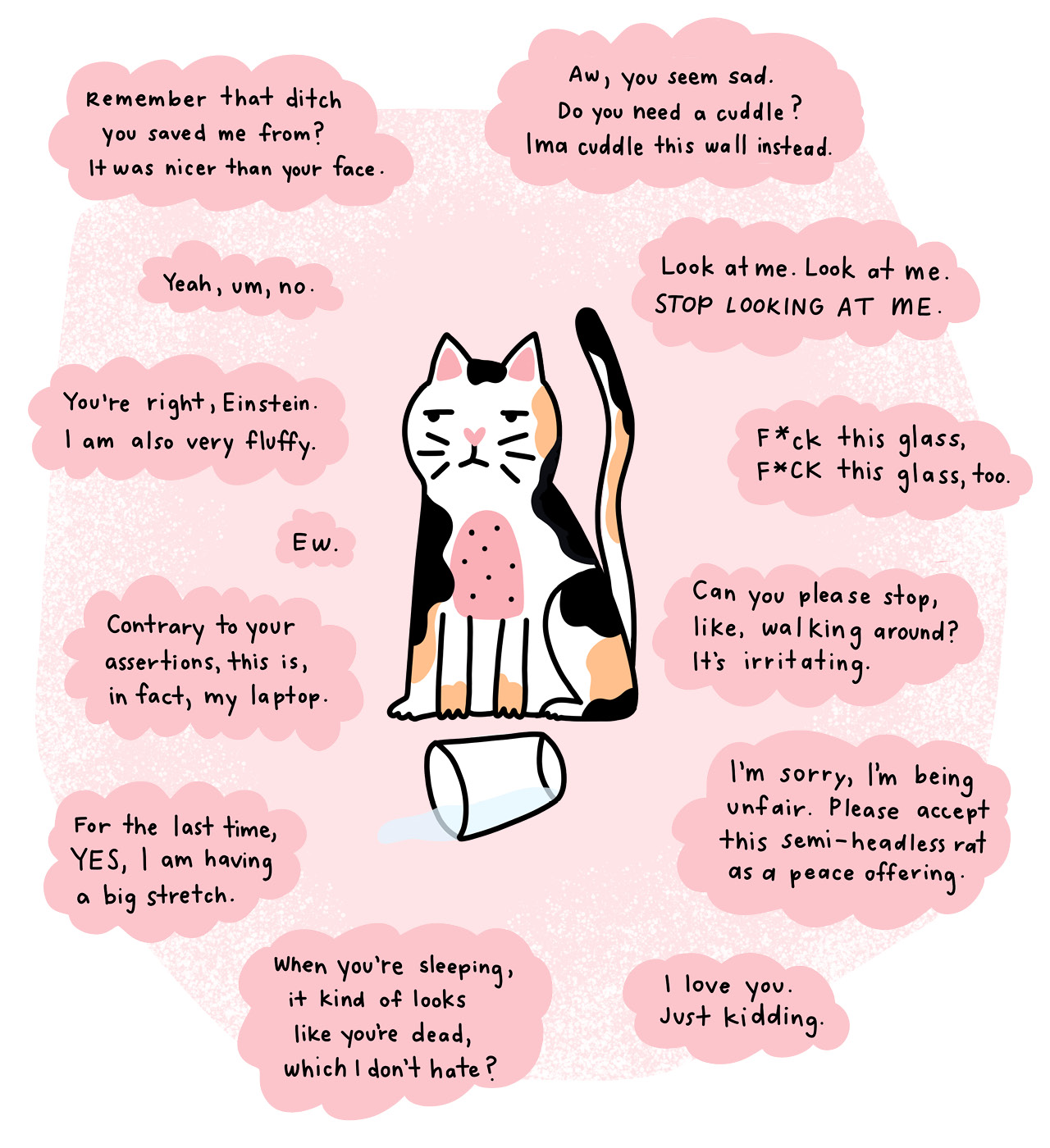A humorous illustration of a cat with word bubbles containing things it has said. 