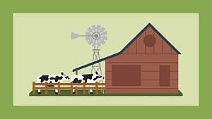 Green graphic with illustration of cows at a barn.