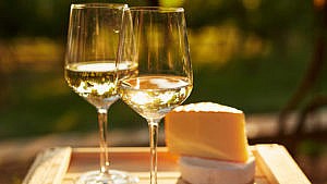 White wines to drink this spring: two glasses of white wine beside a block of cheese