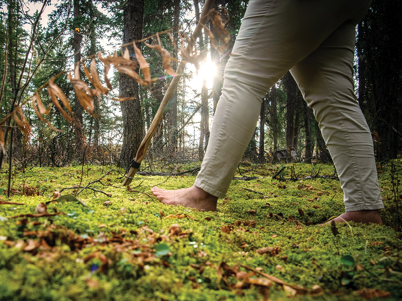 Sara Rose walks barefoot with a walking stick over mossy ground in the forest, wearing grey jeans as the sun peers through trees in the background.
