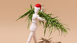 Wooden mannequin holding a cannabis leaf