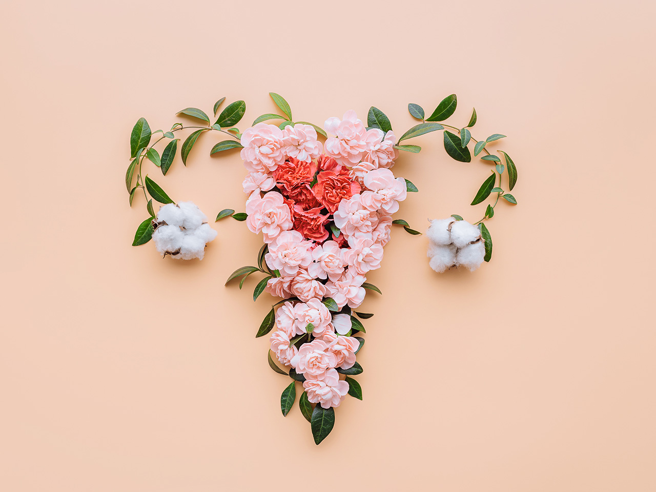 An assortment of flowers, arranged to look like the female reproductive system, on a peach background